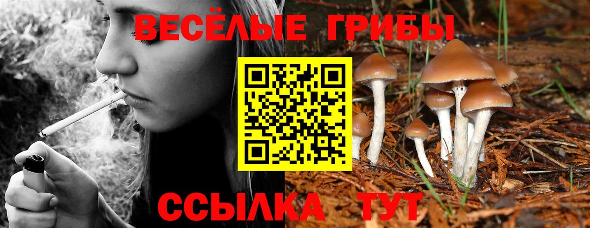 Трёхгорный  Галлюциногенные грибы GOLDEN TEACHER  Вход с VPN 